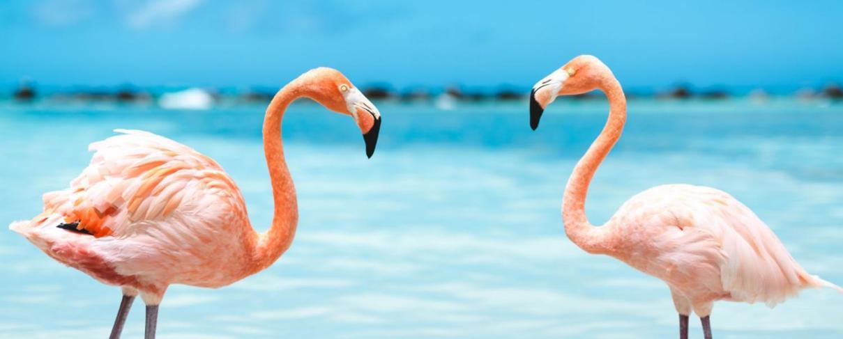 Luxury With Pool 1st Line The Sea *